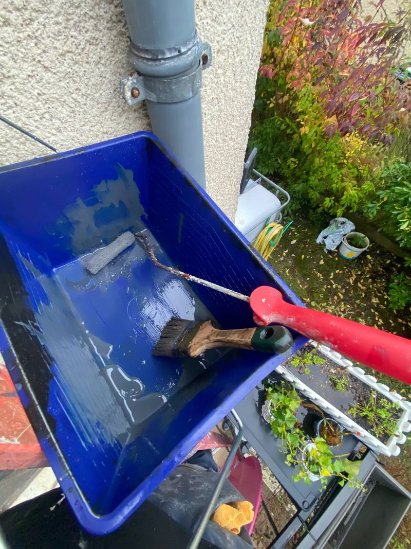 Peinture Lazure V33 pour cache moineaux